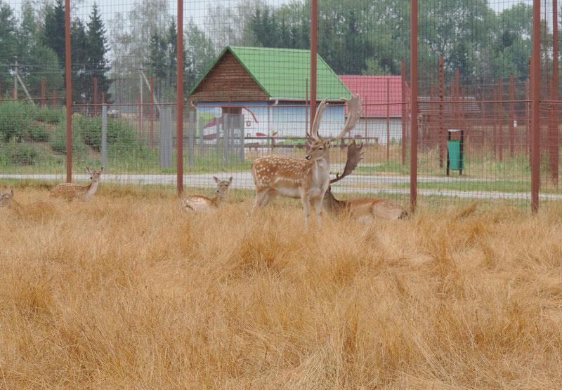 1175.jpg